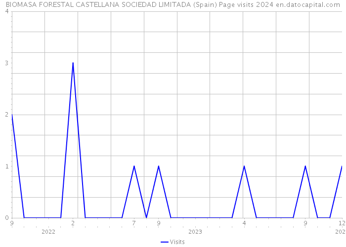 BIOMASA FORESTAL CASTELLANA SOCIEDAD LIMITADA (Spain) Page visits 2024 