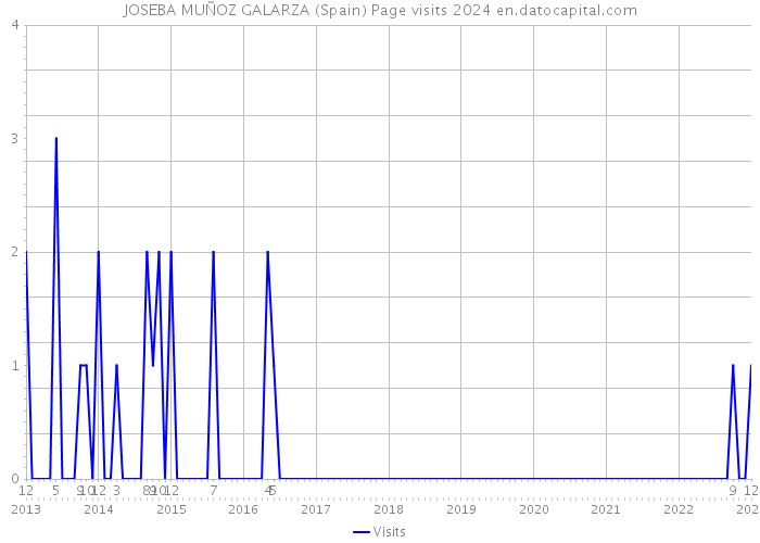 JOSEBA MUÑOZ GALARZA (Spain) Page visits 2024 