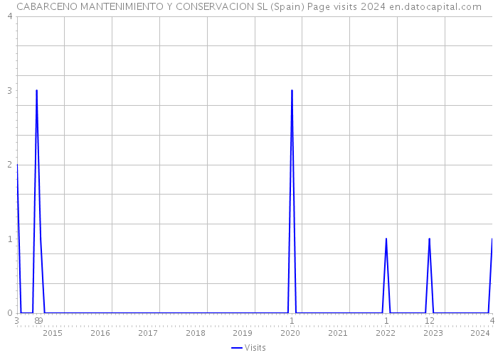 CABARCENO MANTENIMIENTO Y CONSERVACION SL (Spain) Page visits 2024 