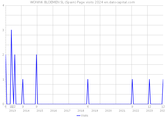 WONINK BLOEMEN SL (Spain) Page visits 2024 