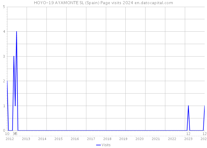 HOYO-19 AYAMONTE SL (Spain) Page visits 2024 