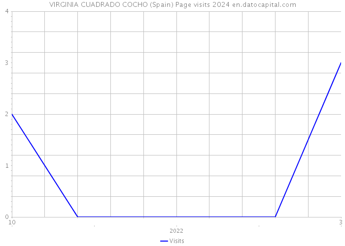 VIRGINIA CUADRADO COCHO (Spain) Page visits 2024 