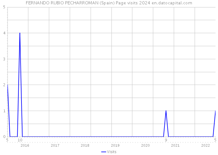 FERNANDO RUBIO PECHARROMAN (Spain) Page visits 2024 