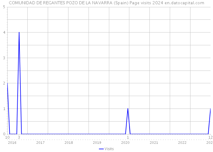 COMUNIDAD DE REGANTES POZO DE LA NAVARRA (Spain) Page visits 2024 
