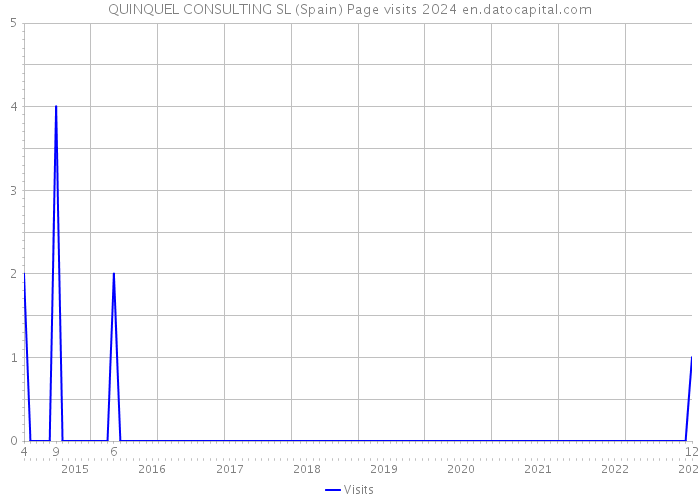 QUINQUEL CONSULTING SL (Spain) Page visits 2024 