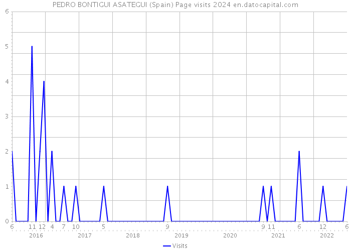 PEDRO BONTIGUI ASATEGUI (Spain) Page visits 2024 