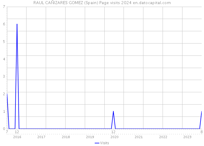 RAUL CAÑIZARES GOMEZ (Spain) Page visits 2024 