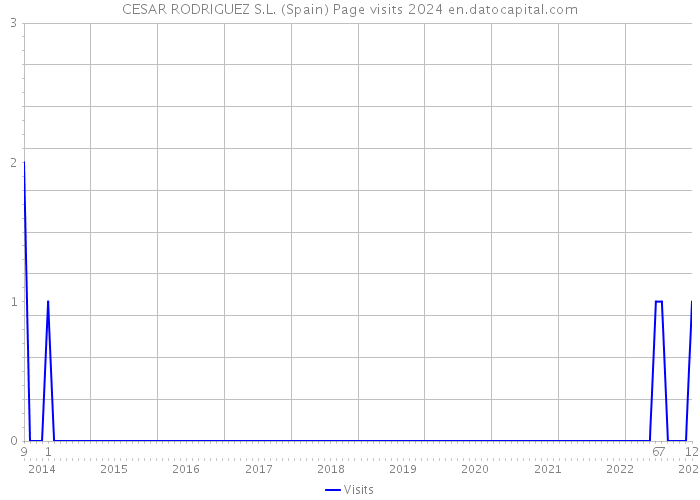 CESAR RODRIGUEZ S.L. (Spain) Page visits 2024 