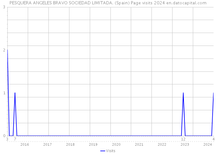 PESQUERA ANGELES BRAVO SOCIEDAD LIMITADA. (Spain) Page visits 2024 