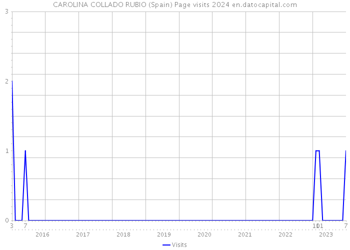 CAROLINA COLLADO RUBIO (Spain) Page visits 2024 