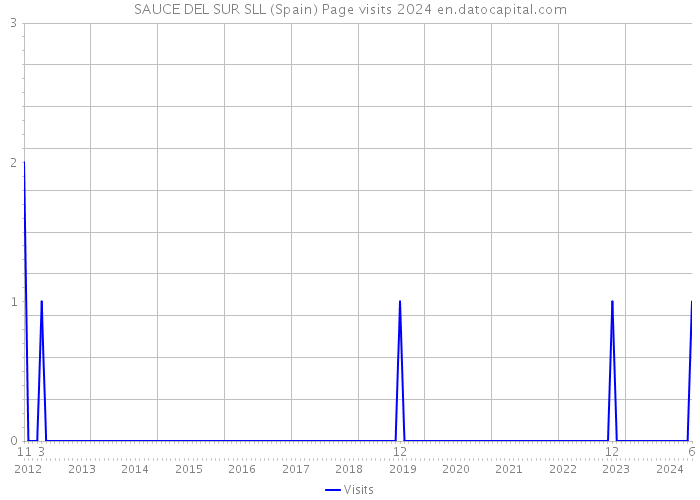 SAUCE DEL SUR SLL (Spain) Page visits 2024 