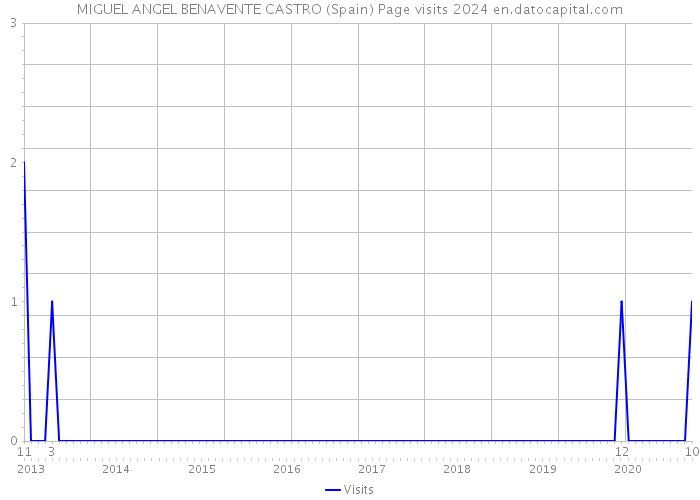 MIGUEL ANGEL BENAVENTE CASTRO (Spain) Page visits 2024 