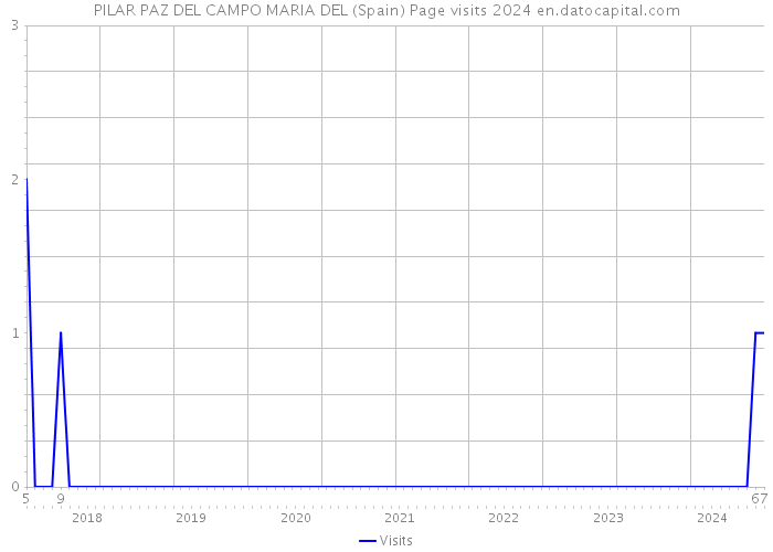 PILAR PAZ DEL CAMPO MARIA DEL (Spain) Page visits 2024 