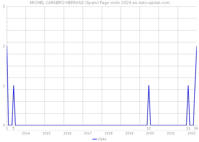 MICHEL CARNERO HERRANZ (Spain) Page visits 2024 