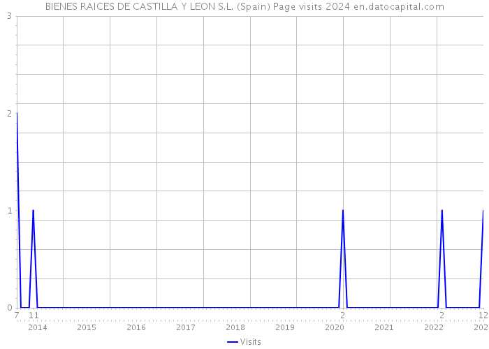 BIENES RAICES DE CASTILLA Y LEON S.L. (Spain) Page visits 2024 
