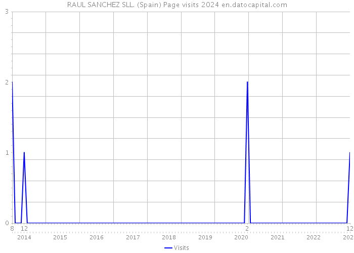 RAUL SANCHEZ SLL. (Spain) Page visits 2024 
