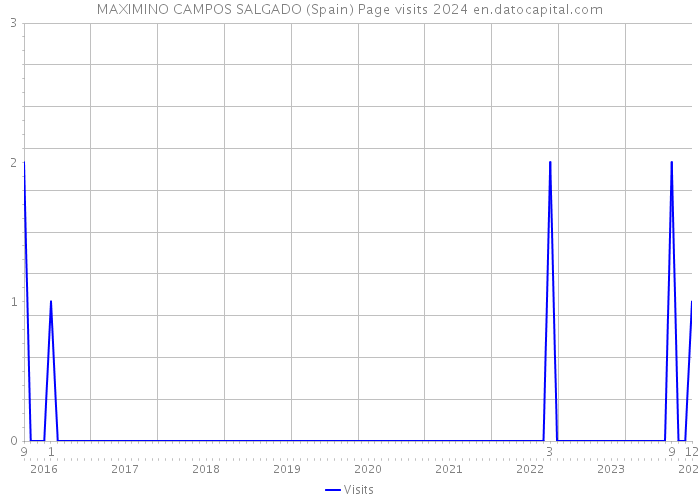 MAXIMINO CAMPOS SALGADO (Spain) Page visits 2024 