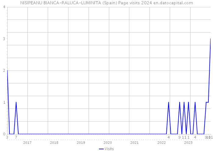 NISIPEANU BIANCA-RALUCA-LUMINITA (Spain) Page visits 2024 