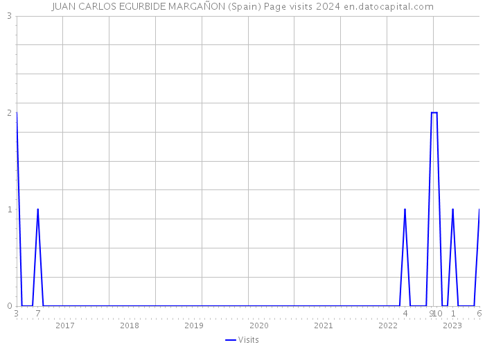 JUAN CARLOS EGURBIDE MARGAÑON (Spain) Page visits 2024 