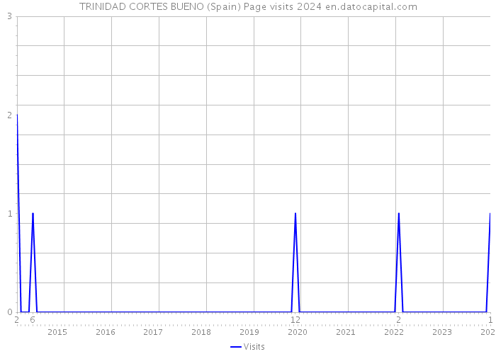 TRINIDAD CORTES BUENO (Spain) Page visits 2024 