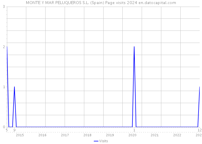 MONTE Y MAR PELUQUEROS S.L. (Spain) Page visits 2024 