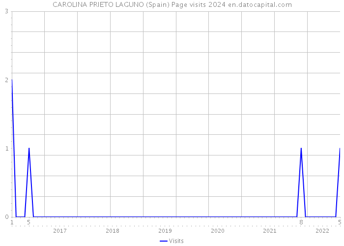 CAROLINA PRIETO LAGUNO (Spain) Page visits 2024 