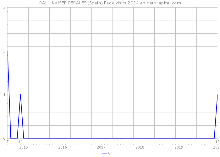 RAUL KAISER PERALES (Spain) Page visits 2024 