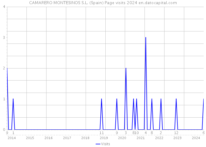 CAMARERO MONTESINOS S.L. (Spain) Page visits 2024 