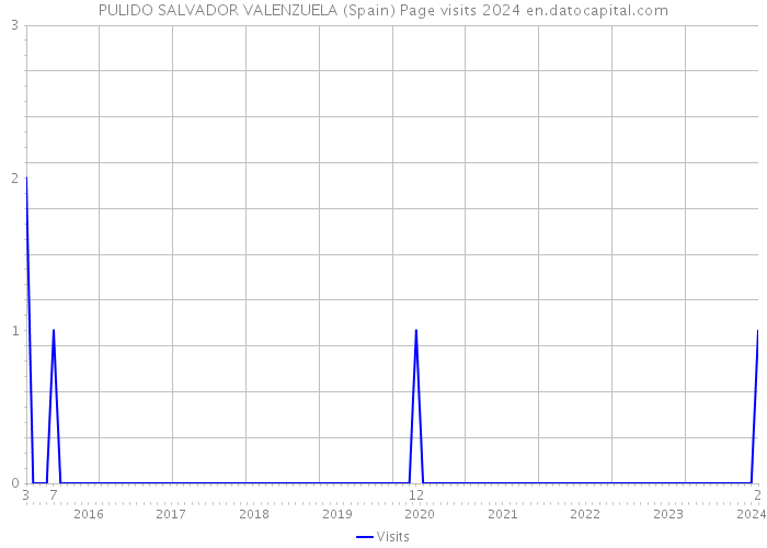 PULIDO SALVADOR VALENZUELA (Spain) Page visits 2024 
