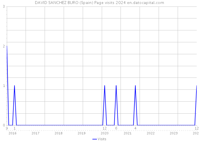 DAVID SANCHEZ BURO (Spain) Page visits 2024 