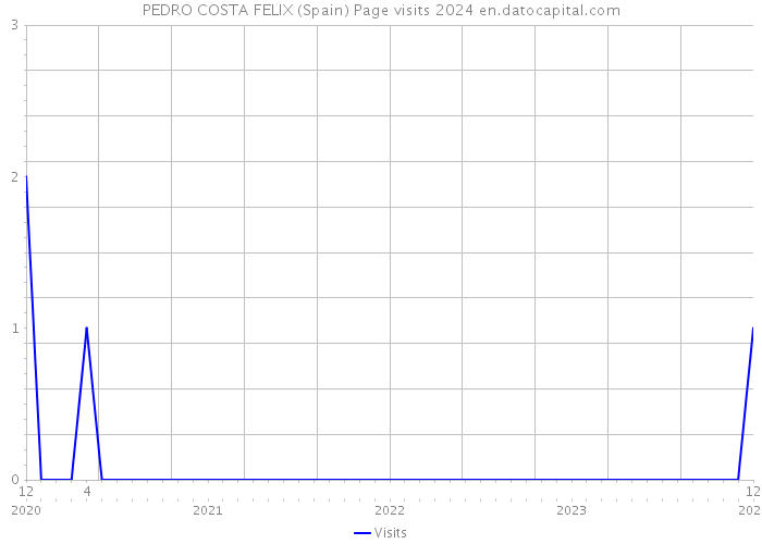 PEDRO COSTA FELIX (Spain) Page visits 2024 