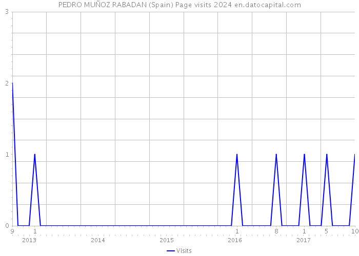 PEDRO MUÑOZ RABADAN (Spain) Page visits 2024 