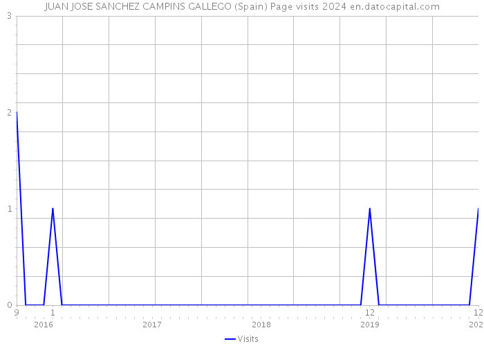 JUAN JOSE SANCHEZ CAMPINS GALLEGO (Spain) Page visits 2024 