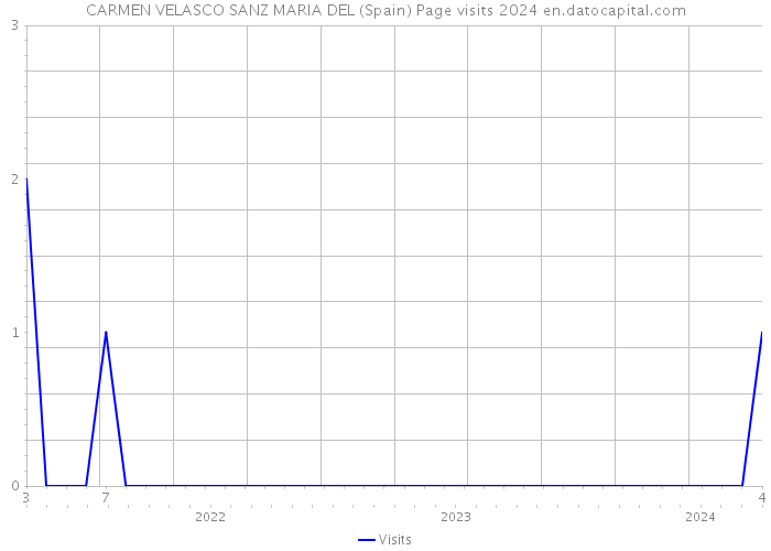 CARMEN VELASCO SANZ MARIA DEL (Spain) Page visits 2024 