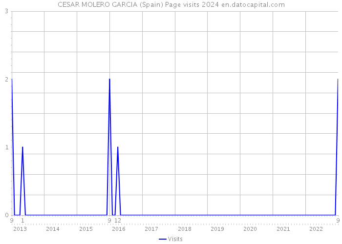 CESAR MOLERO GARCIA (Spain) Page visits 2024 