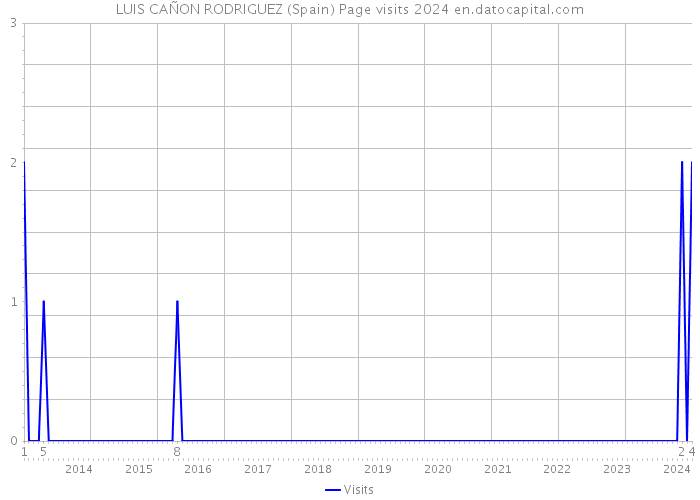 LUIS CAÑON RODRIGUEZ (Spain) Page visits 2024 