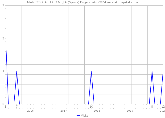 MARCOS GALLEGO MEJIA (Spain) Page visits 2024 