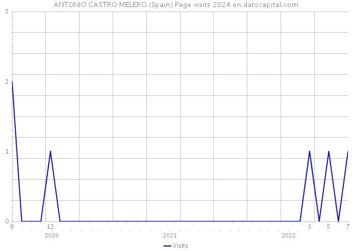 ANTONIO CASTRO MELERO (Spain) Page visits 2024 