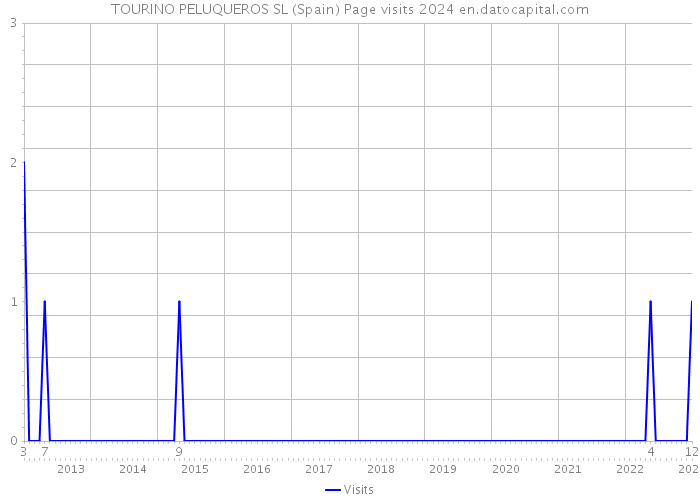 TOURINO PELUQUEROS SL (Spain) Page visits 2024 
