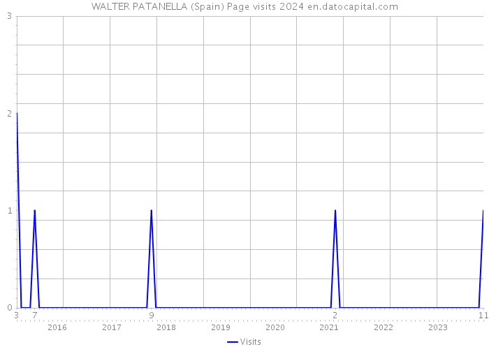 WALTER PATANELLA (Spain) Page visits 2024 