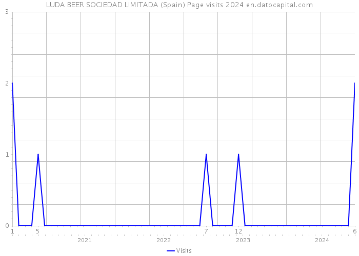 LUDA BEER SOCIEDAD LIMITADA (Spain) Page visits 2024 