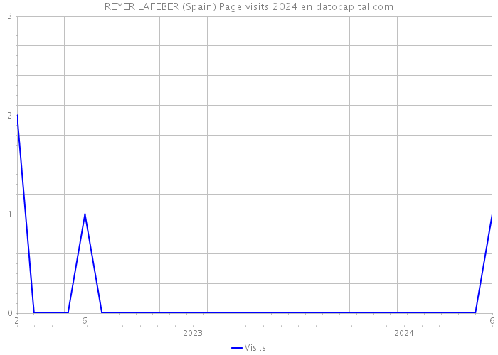 REYER LAFEBER (Spain) Page visits 2024 