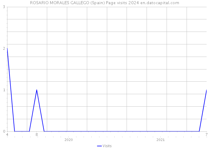 ROSARIO MORALES GALLEGO (Spain) Page visits 2024 