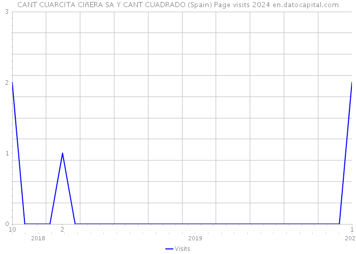 CANT CUARCITA CIñERA SA Y CANT CUADRADO (Spain) Page visits 2024 