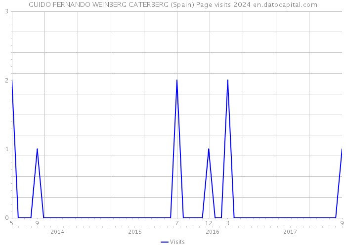 GUIDO FERNANDO WEINBERG CATERBERG (Spain) Page visits 2024 