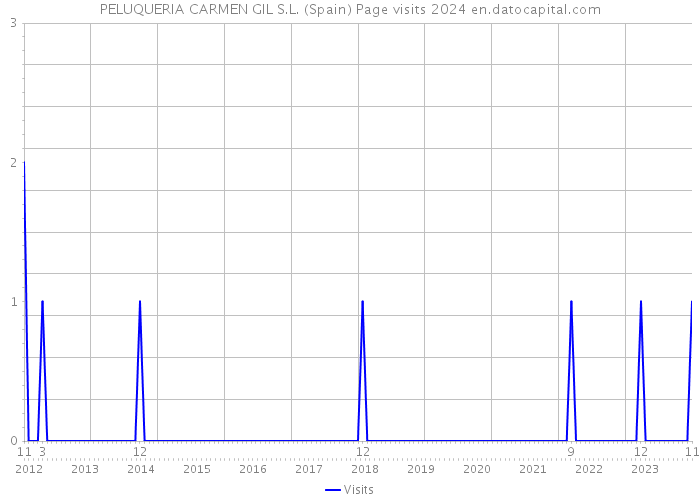 PELUQUERIA CARMEN GIL S.L. (Spain) Page visits 2024 