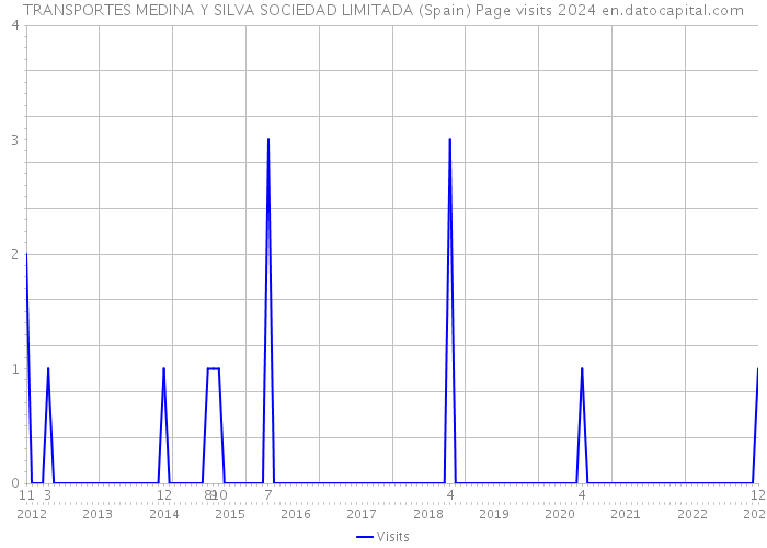 TRANSPORTES MEDINA Y SILVA SOCIEDAD LIMITADA (Spain) Page visits 2024 