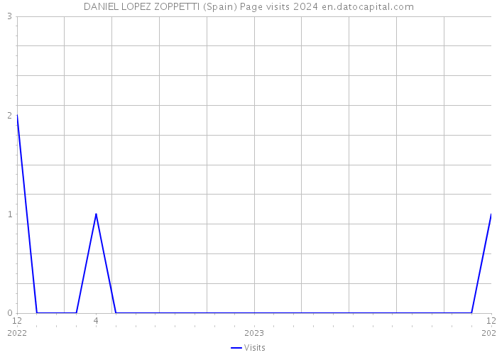 DANIEL LOPEZ ZOPPETTI (Spain) Page visits 2024 