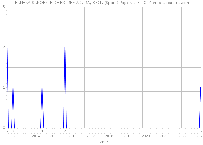 TERNERA SUROESTE DE EXTREMADURA, S.C.L. (Spain) Page visits 2024 