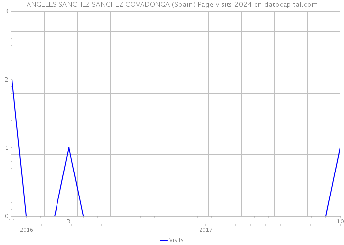 ANGELES SANCHEZ SANCHEZ COVADONGA (Spain) Page visits 2024 